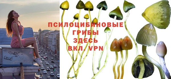 кокаин колумбия Алзамай